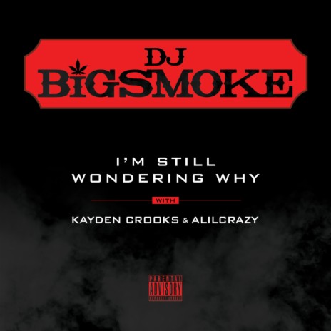I'm Still Wondering Why (feat. Kayden Crooks & Alilcrazy) | Boomplay Music