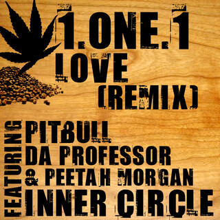 1.One.1 Love Remix (feat. Da Professor, Pitbull & Peetah Morgan) - Single