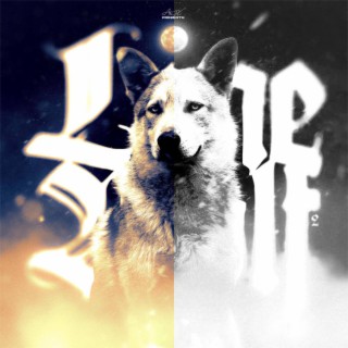 LONEWOLF 2 lyrics | Boomplay Music