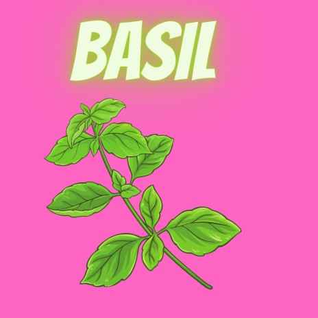 Basil | Boomplay Music