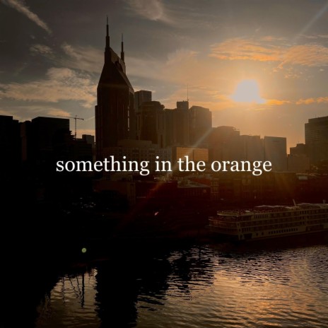 Something in the Orange | Boomplay Music