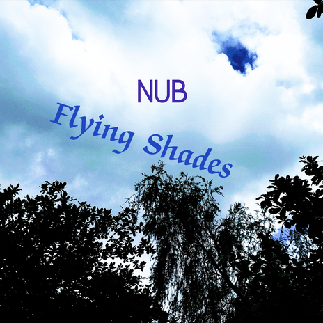 Flying Shades | Boomplay Music