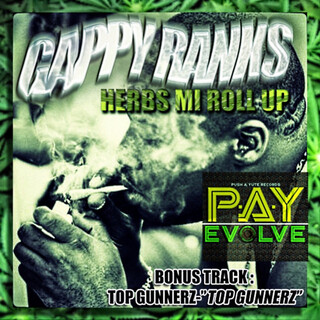 Herbs Mi Roll Up / Top Gunnerz - Single