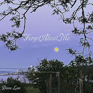 Forget About Me lyrics | Boomplay Music