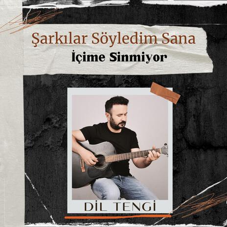 İçime Sinmiyor | Boomplay Music