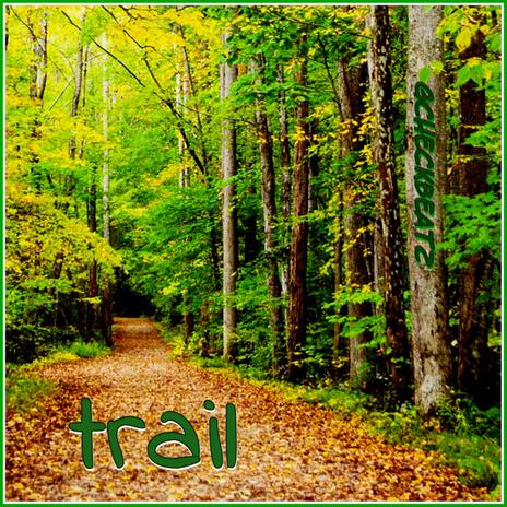 Trail | Boomplay Music