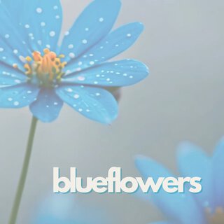 Blueflowers