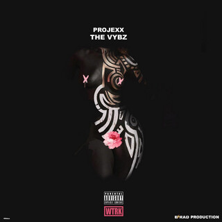 The Vybz - Single