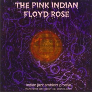 The Pink Indian Floyd Rose