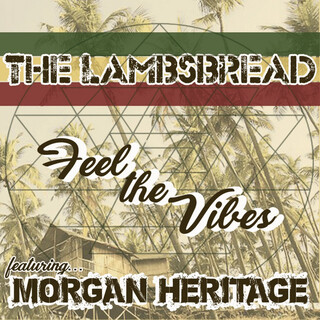 Feel The Vibes (feat. Morgan Heritage) - Single