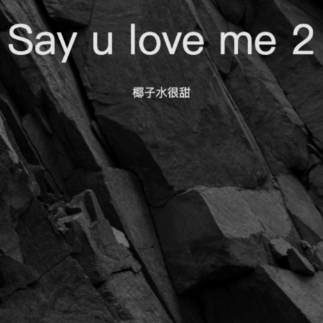 Say u love me 2 | Boomplay Music