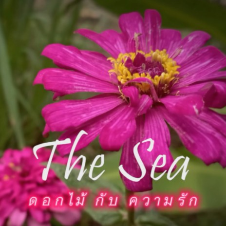 ดอกไม้กับความรัก (#Theseachannel) | Boomplay Music