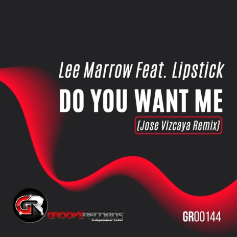 Do You Want Me (Jose Vizcaya Remix) ft. Lipstick