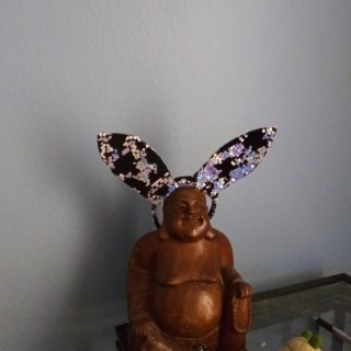 Bhudda Bunny