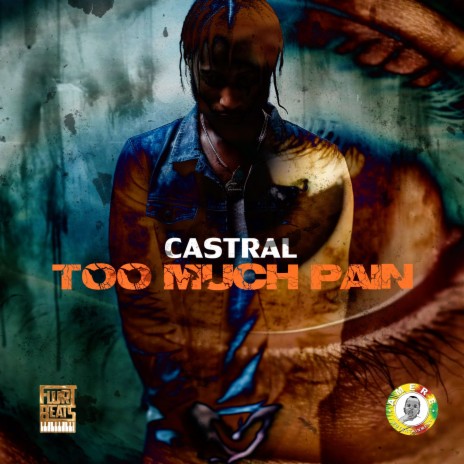 Too Much Pain | Boomplay Music