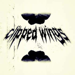 Clipped Wings