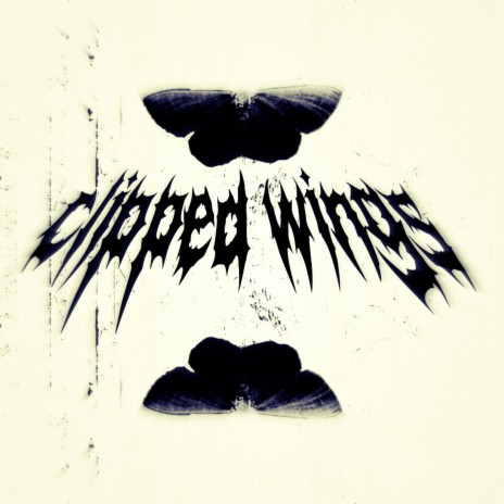 Clipped Wings | Boomplay Music