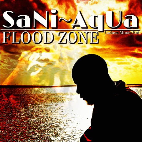 Flood Zone | Boomplay Music