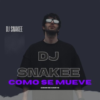 Dj Snakee