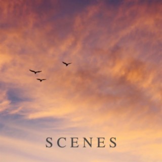 Scenes | Boomplay Music
