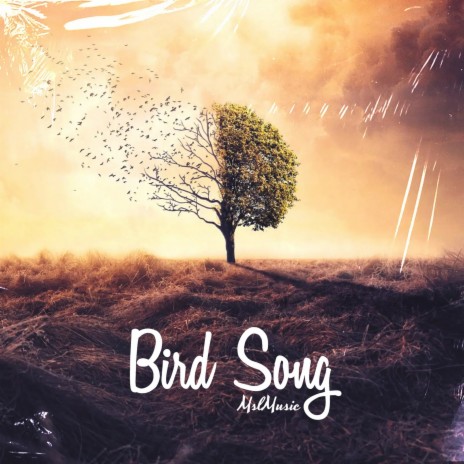 Bird Song | Boomplay Music