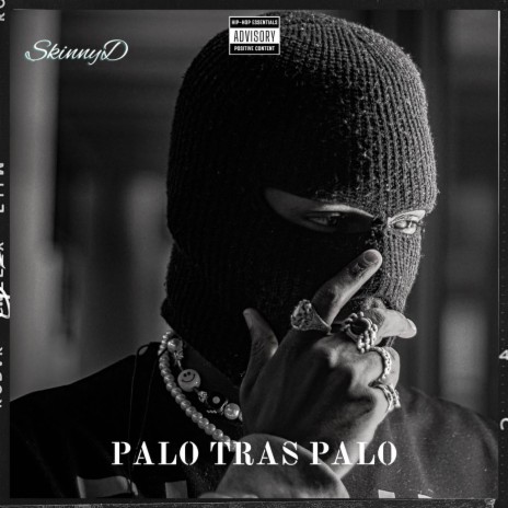 PALO TRAS PALO | Boomplay Music