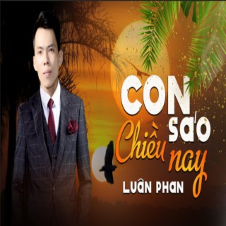 Con Sáo Chiều Nay