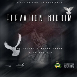 Elevation Riddim