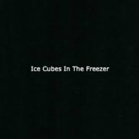 Ice Cubes In The Freezer