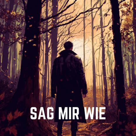 SAG MIR WIE | Boomplay Music