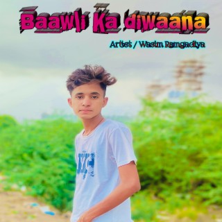 Baawli Ka Diwaana