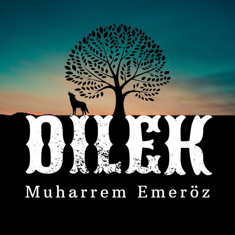 Dilek | Boomplay Music