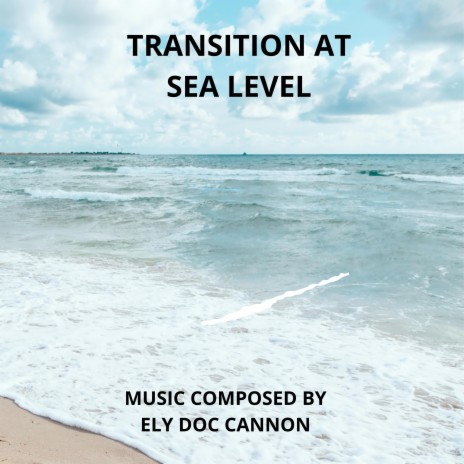 TRANSITION AT SEA LEVEL | Boomplay Music