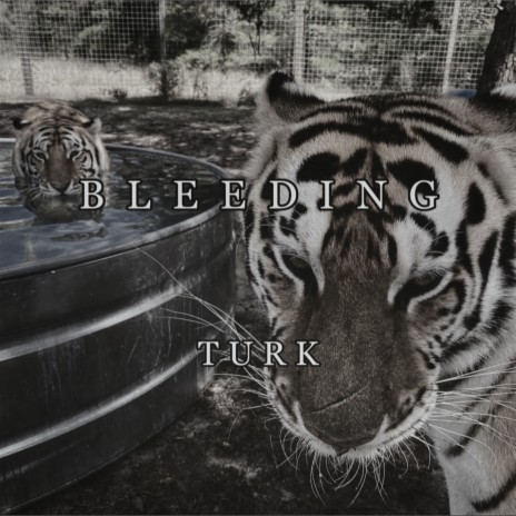 Bleeding ft. 音WeiYouNi & Turk | Boomplay Music