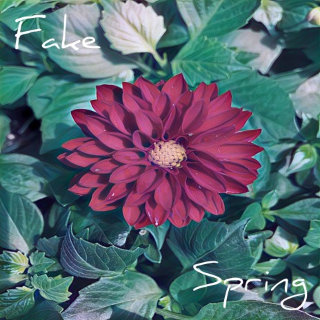 Fake Spring | Boomplay Music