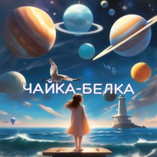 Чайка - Белка