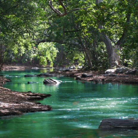 Calming Running River for Meditation (Extended) | Boomplay Music