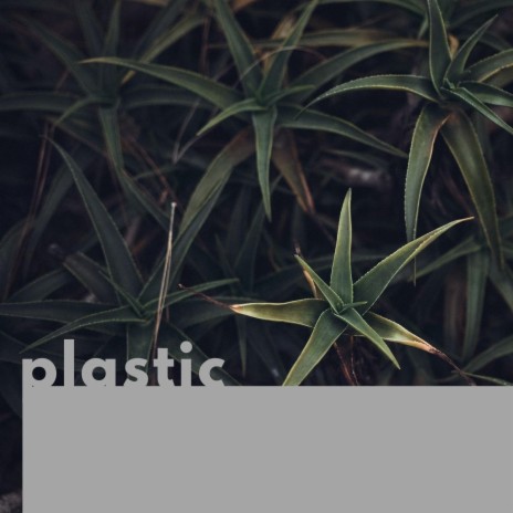 plastic | Boomplay Music