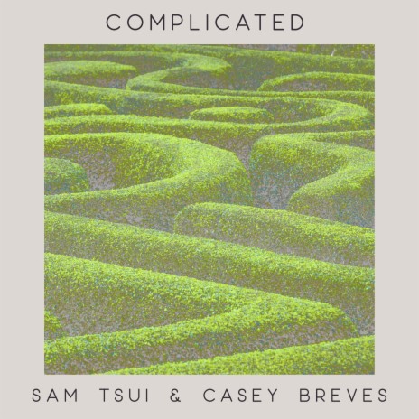 Complicated (acoustic duet version) ft. Casey Breves | Boomplay Music