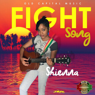 Fight Song - Single