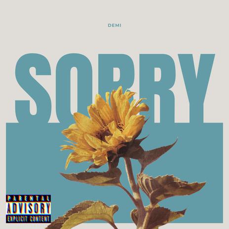 Sorry | Boomplay Music