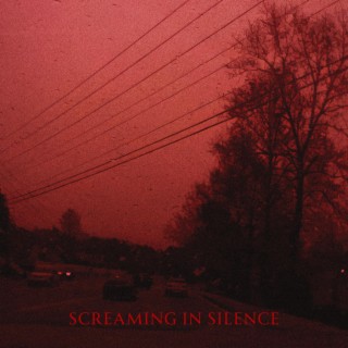 screaming in silence