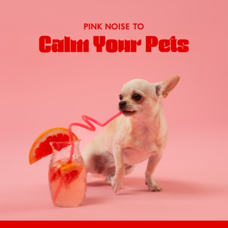 Pink Noise for Dog Therapy ft. Pets Music & Calm Pets Music Academy | Boomplay Music