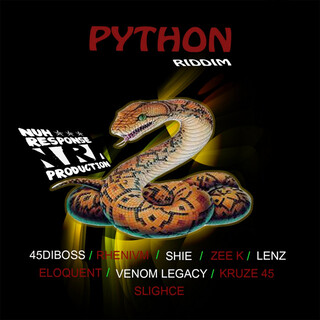 Python Riddim