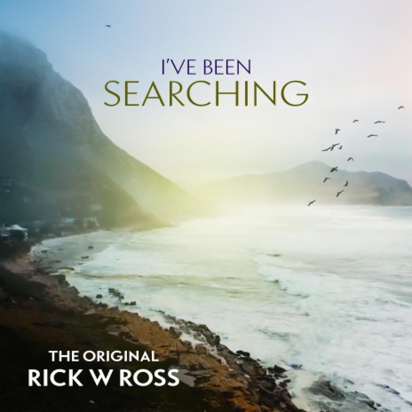 I'VE BEEN SEARCHING | Boomplay Music