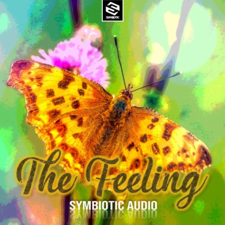 The Feeling | Boomplay Music