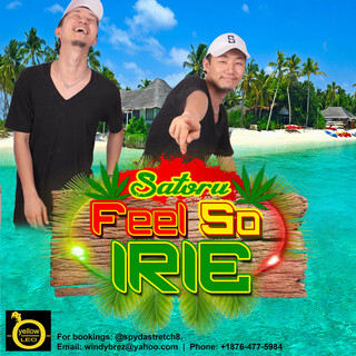 Feel So Irie - Single