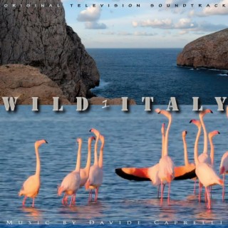 WILD ITALY 1 (Original Television Series Soundtrack)