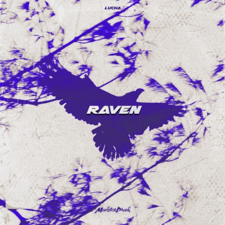 RAVEN | Boomplay Music