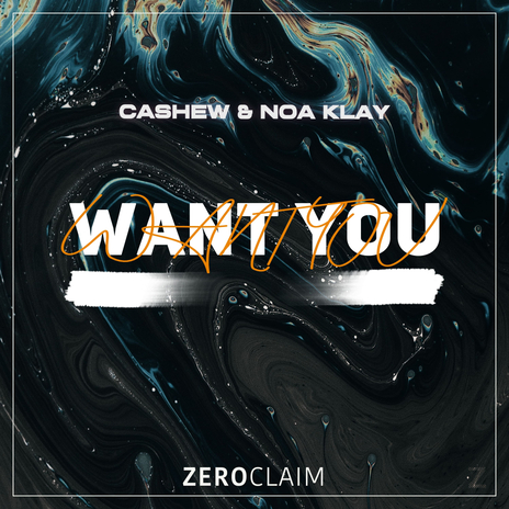 Want You (Extended Mix) ft. Noa Klay | Boomplay Music